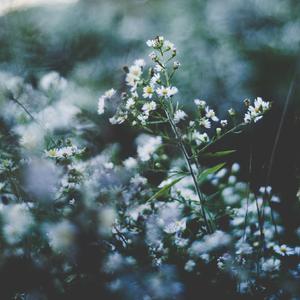 日本老师内急peeVK
